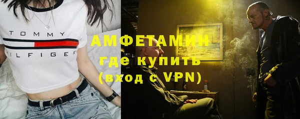 амф Гусев