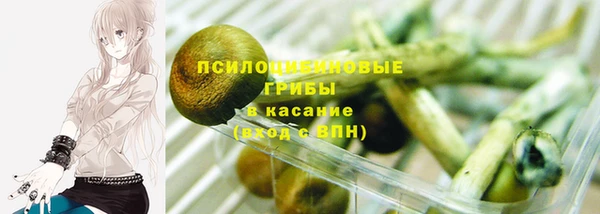 ГАЛЛЮЦИНОГЕННЫЕ ГРИБЫ Вязьма