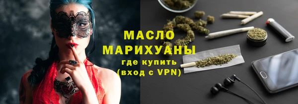 амф Гусев