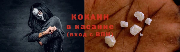 амф Гусев