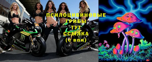 ГАЛЛЮЦИНОГЕННЫЕ ГРИБЫ Вязьма