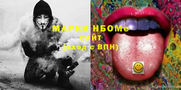 амф Гусев
