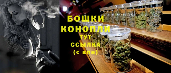 ГАЛЛЮЦИНОГЕННЫЕ ГРИБЫ Майский
