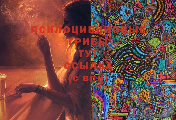 спиды Гусь-Хрустальный