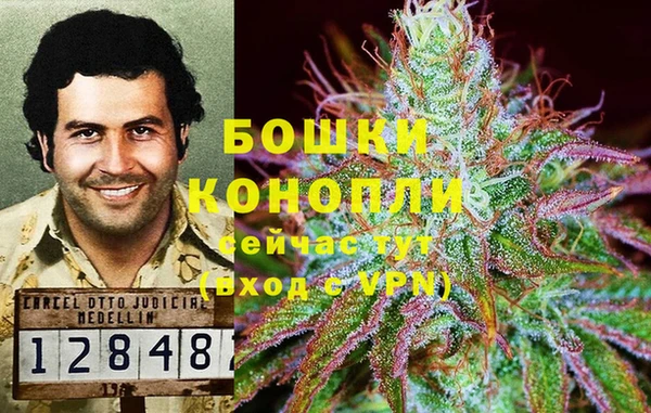 стаф Гусиноозёрск