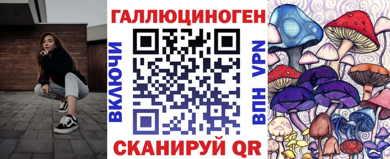 это клад  Ельня  Галлюциногенные грибы прущие грибы 